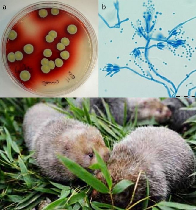 經(jīng)典病例解讀02